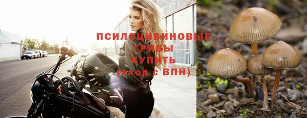 не бодяженный Верея