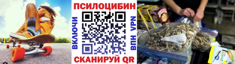 Купить закладки  Когалым  Галлюциногенные грибы Cubensis 
