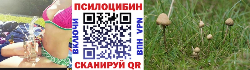 Псилоцибиновые грибы MAGIC MUSHROOMS Когалым